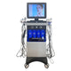 14 in 1 Multifunctional water-free facial care device:FR-NMZ14 new version