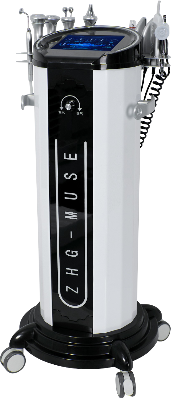 FR-LLYA2 9 in 1 Comprehensive Skin Management Device with Water Mill